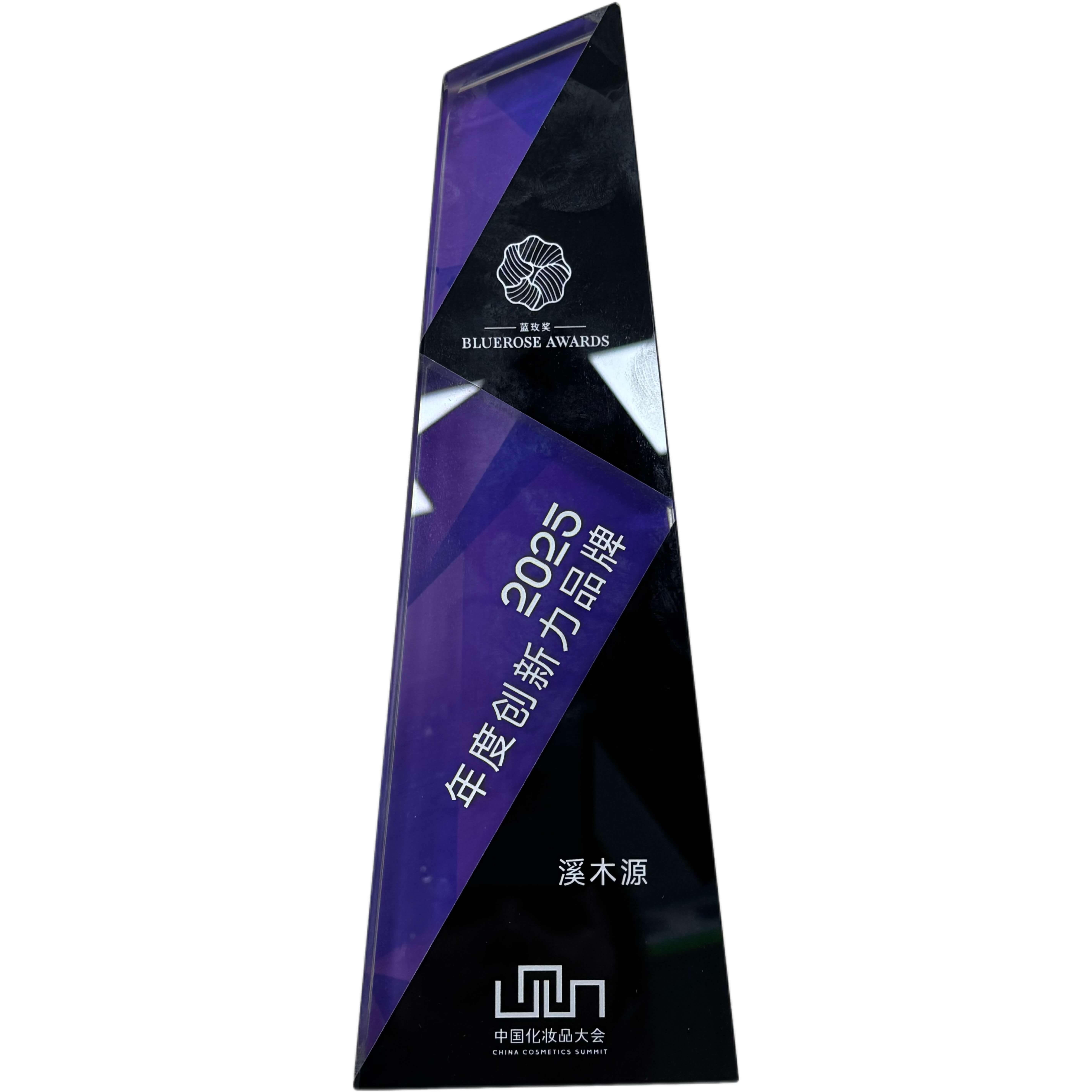 2025年度创新力品牌