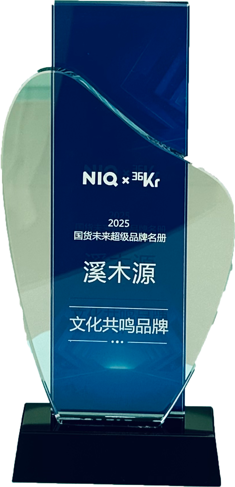 2025国货未来超级品牌名册