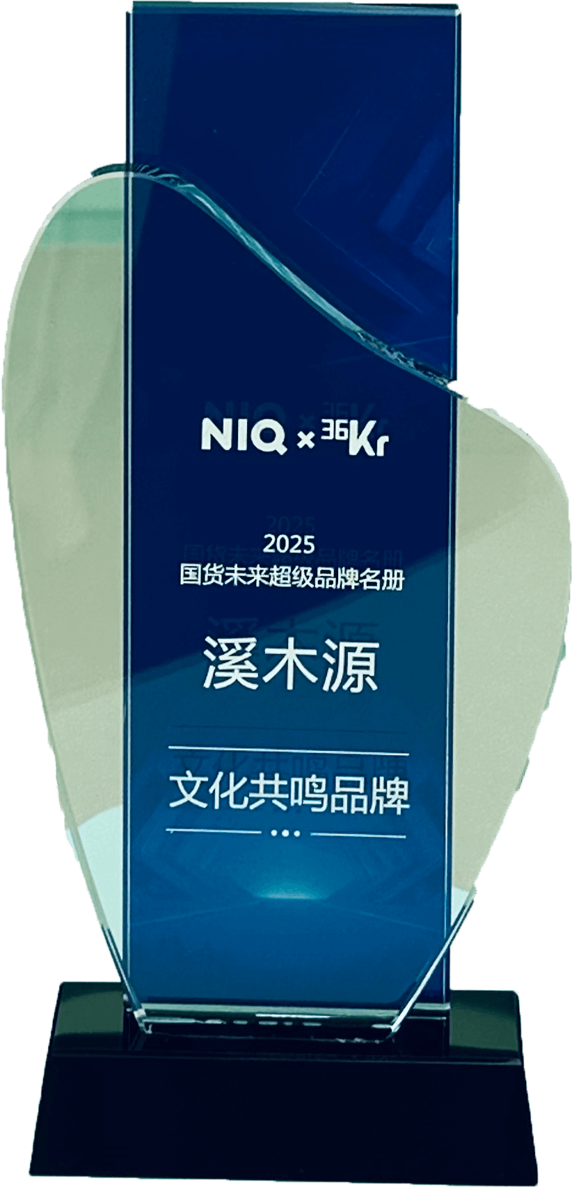 2025国货未来超级品牌名册